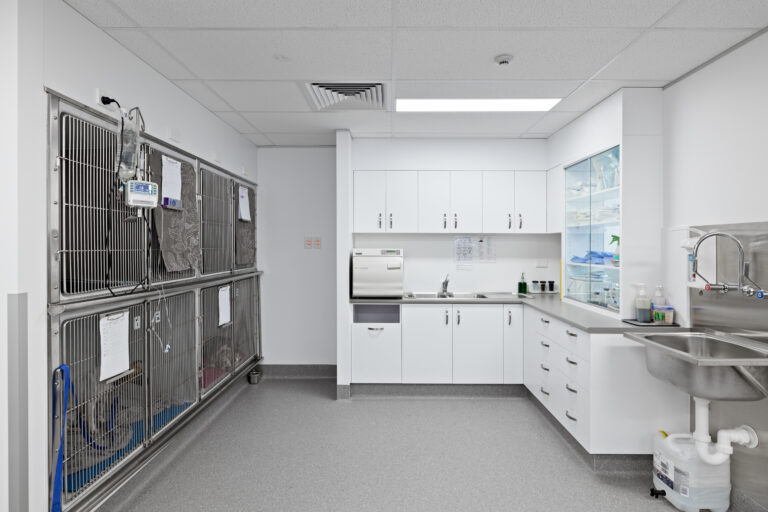 Office Fitouts - Goodna Veterinary Clinic