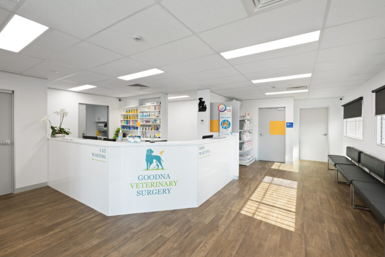 Office Fitouts - Goodna Veterinary Clinic